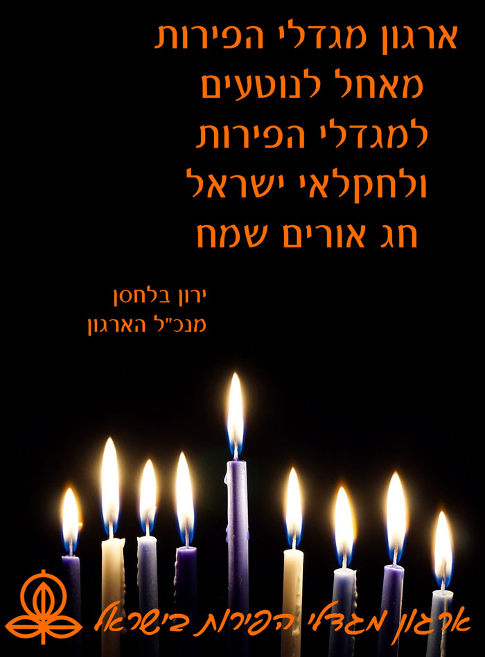 חנוכה-2020.jpg