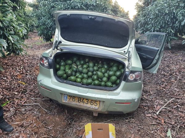 הרכב העמוס ביבול גנוב צילום: דוברות המשטרה