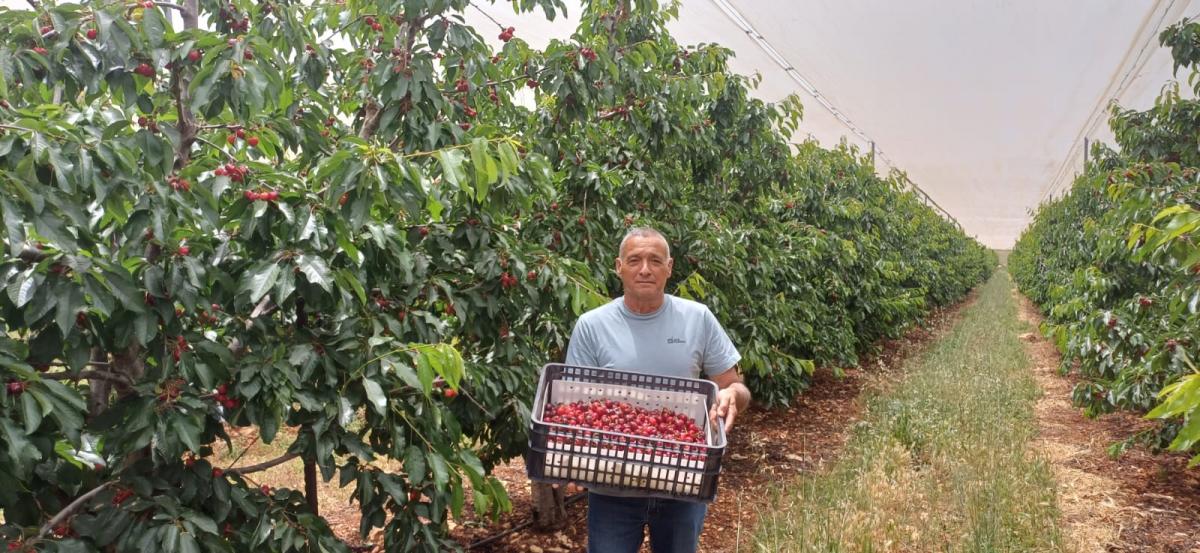 ירון בלחסן מנכ"ל ארגון מגדלי הפירות