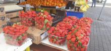 תותים מוברחים מעזה בשוק בבאר שבע