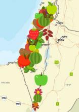 מפת החקלאות הישראלית